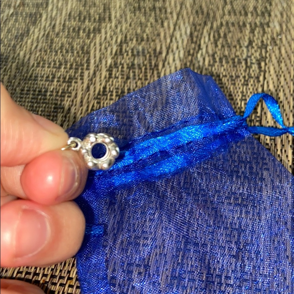 Pandora Charm